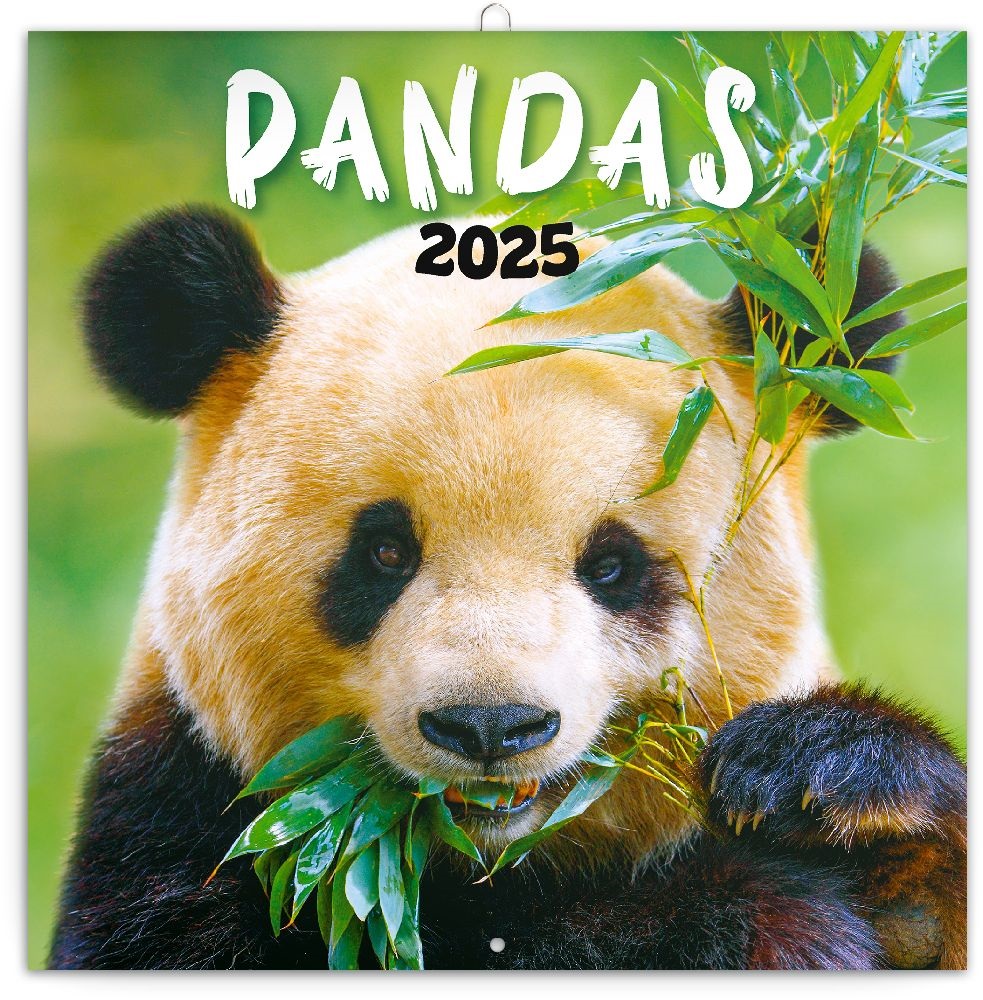 Realsystem 2025 Pandas 6097-PS lemeznaptár