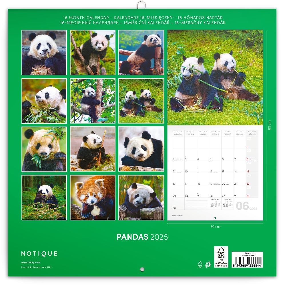Realsystem 2025 Pandas 6097-PS lemeznaptár
