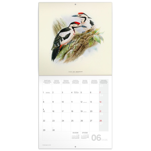 Realsystem 2026 Birds in Art 6097 falinaptár
