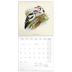 Realsystem 2026 Birds in Art 6097 falinaptár