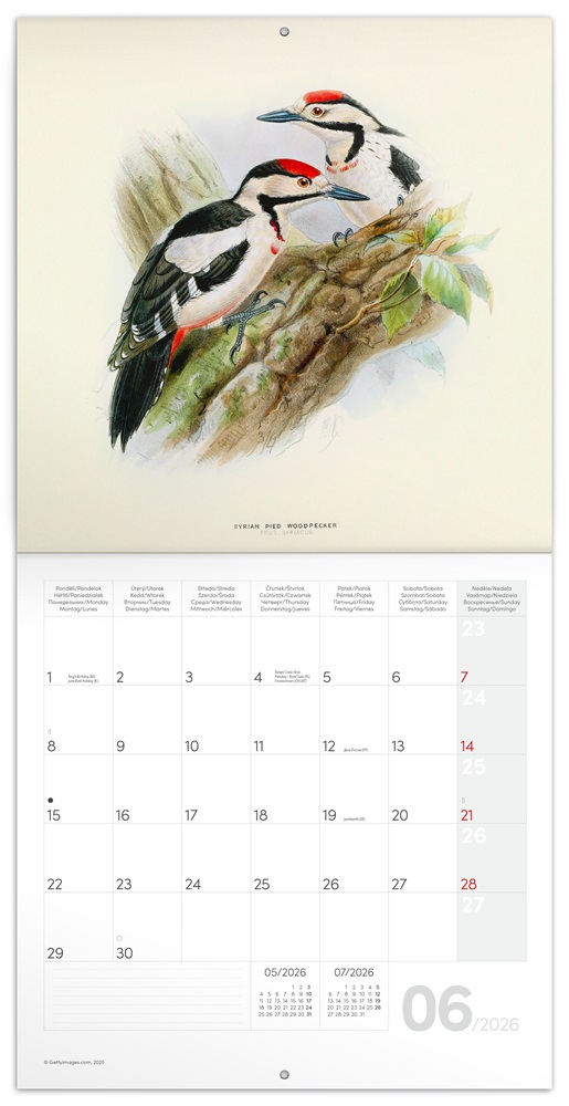 Realsystem 2026 Birds in Art 6097 falinaptár