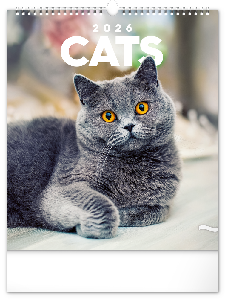 Realsystem 2026 Cats 6087-CA falinaptár