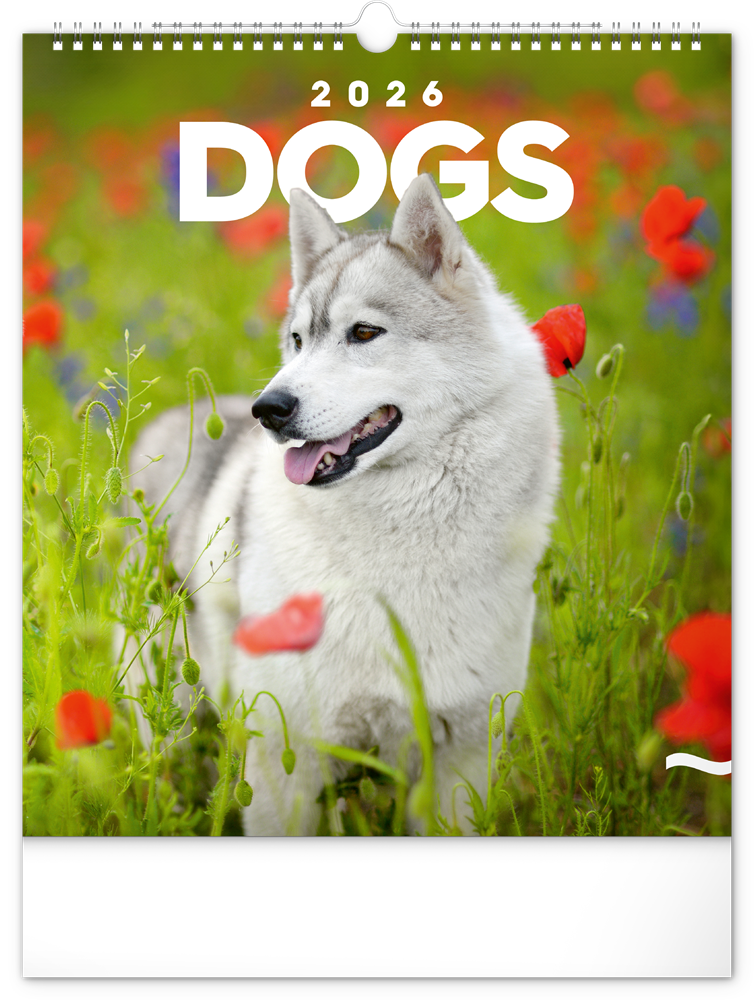 Realsystem 2026 Dogs 6087-DO falinaptár