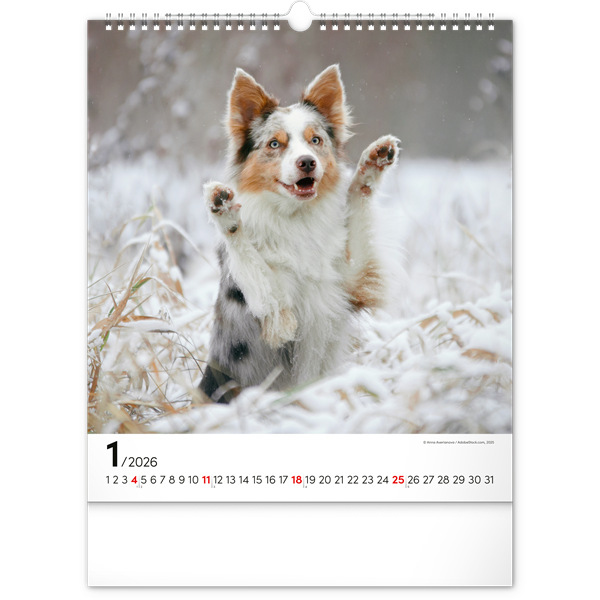 Realsystem 2026 Dogs 6087-DO falinaptár