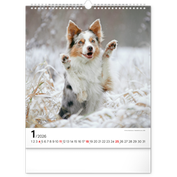 Realsystem 2026 Dogs 6087-DO falinaptár