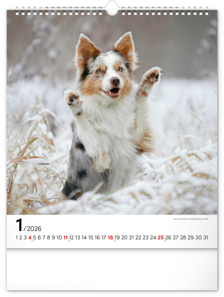 Realsystem 2026 Dogs 6087-DO falinaptár