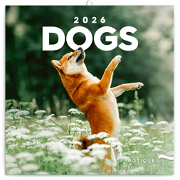 Realsystem 2026 Dogs 6097-DO falinaptár