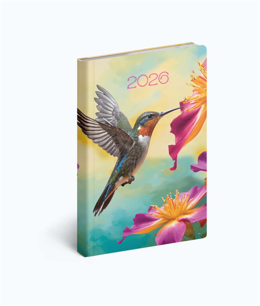 Realsystem 2026 Fiestina Light 5411-73 kolibri B6 zsebnaptár