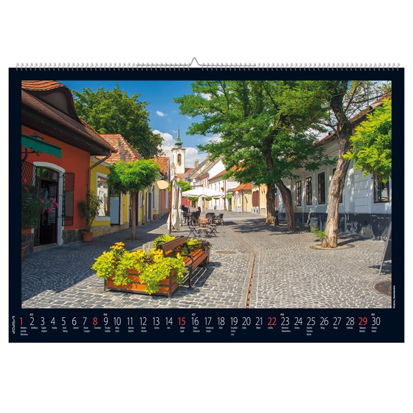 Realsystem 2026 Magyarország 6091-MO falinaptár