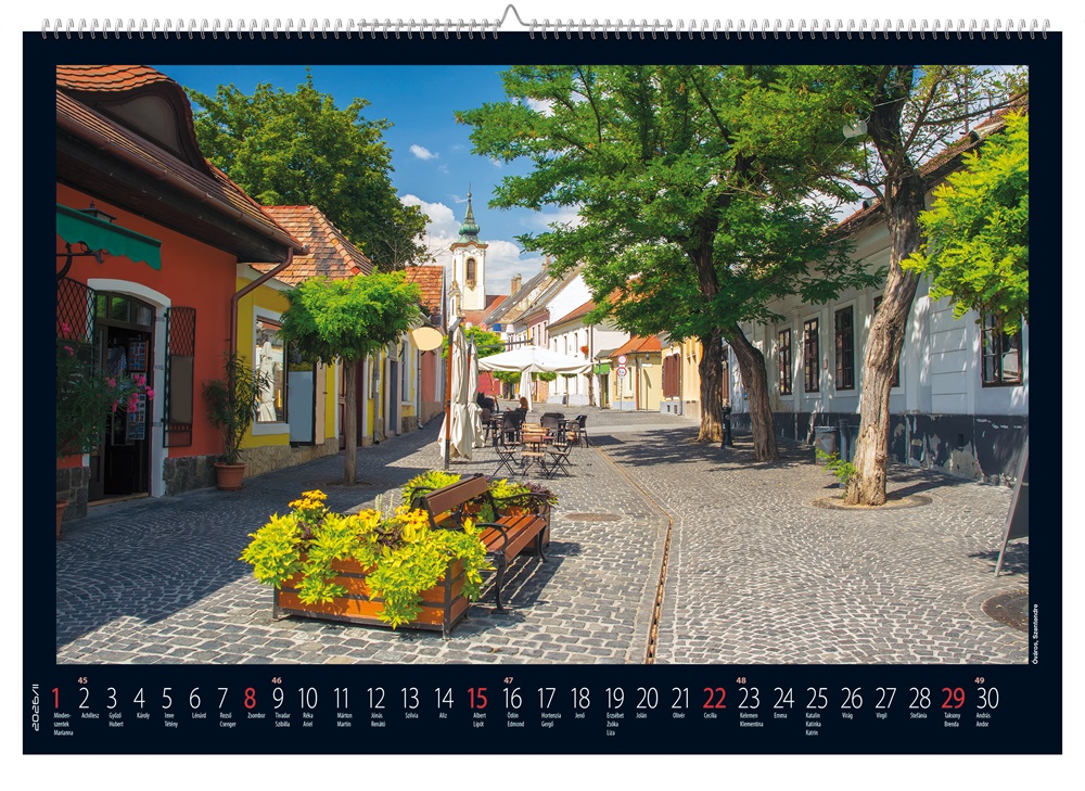Realsystem 2026 Magyarország 6091-MO falinaptár