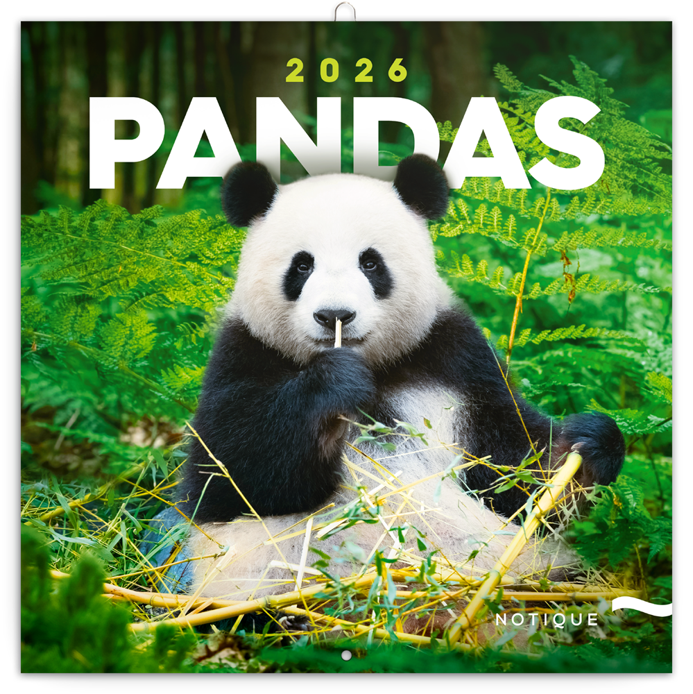 Realsystem 2026 Pandas 6097-PS lemeznaptár