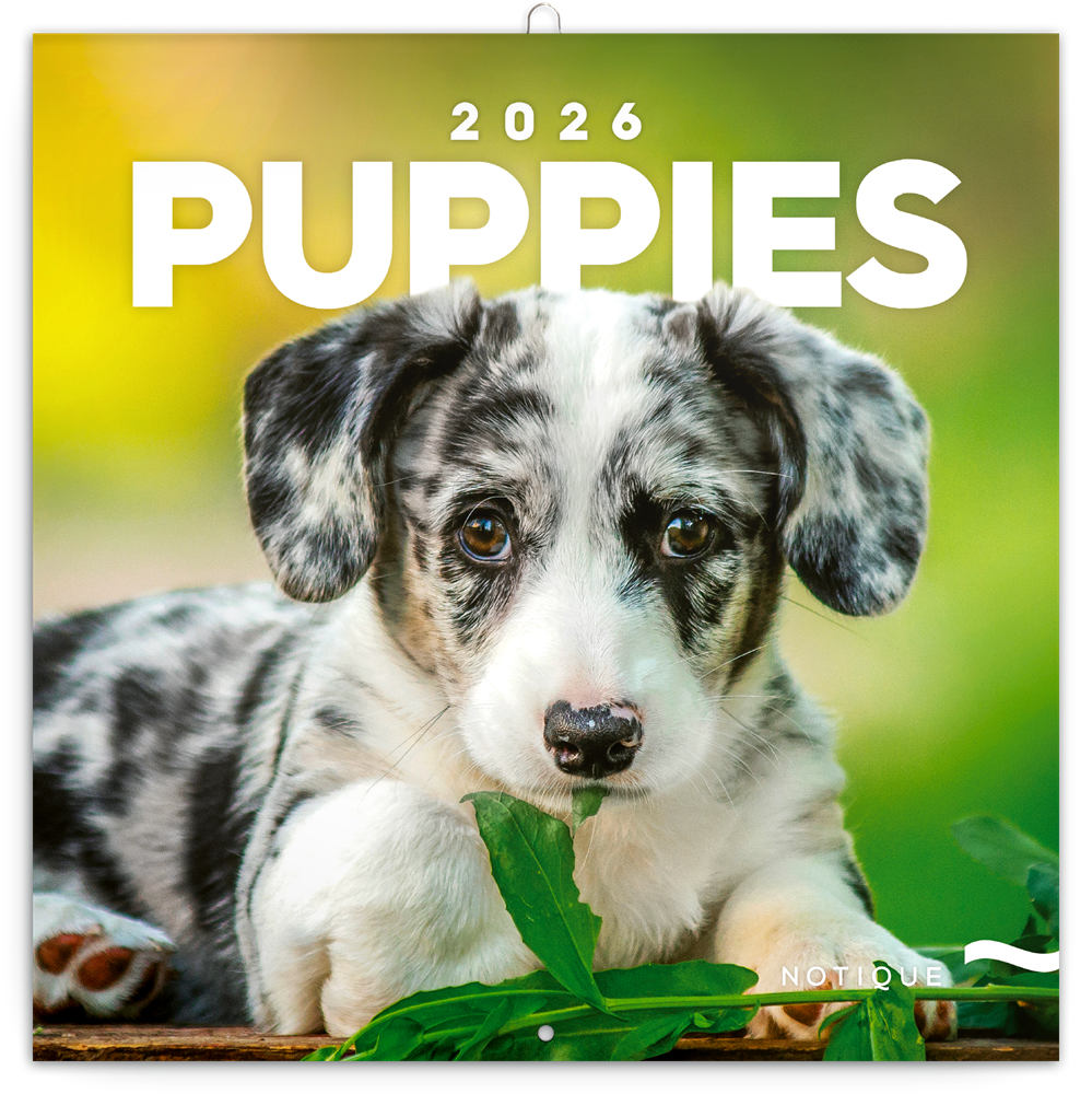 Realsystem 2026 Puppies 6097-PU falinaptár