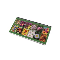 Realsystem 2026 Virágok 7981-99 papír hátlapos képes álló asztali naptár