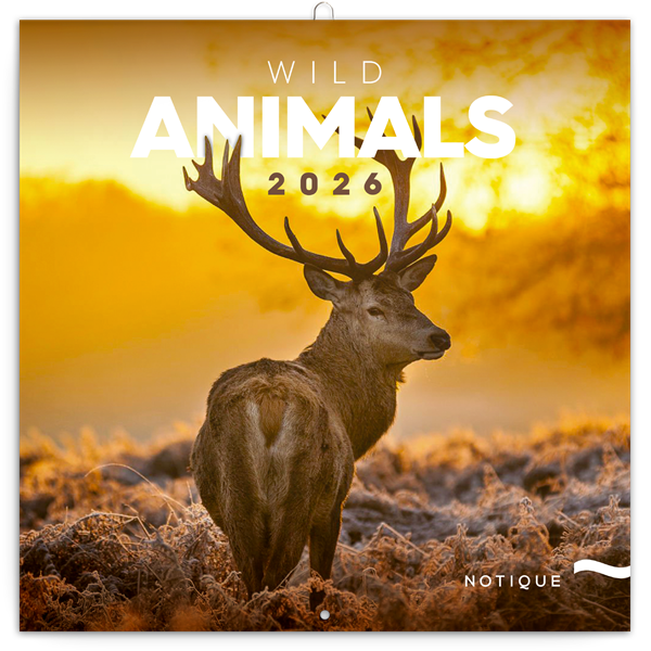 Realsystem 2026 Wild Africa 6097-WA falinaptár