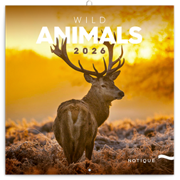 Realsystem 2026 Wild Africa 6097-WA falinaptár