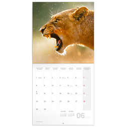 Realsystem 2026 Wild Africa 6097-WA falinaptár