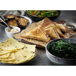 Russell Hobbs 24530-56 Cook@Home inox-fekete szendvicssütő