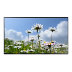 Samsung 65" ED65C LFD