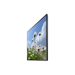 Samsung 65" ED65C LFD