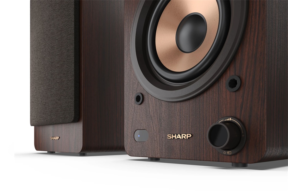 Sharp CP-SS30BR barna hangszóró pár