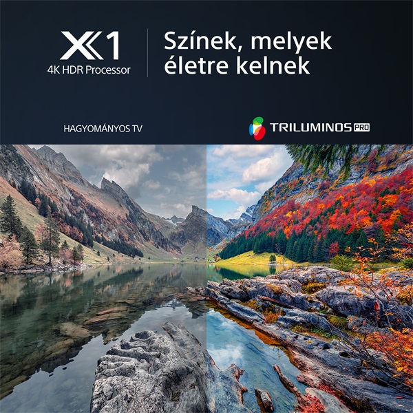 Sony 43" KD43X80LPAEP 4K UHD Smart LED TV (Újracsomagolt)