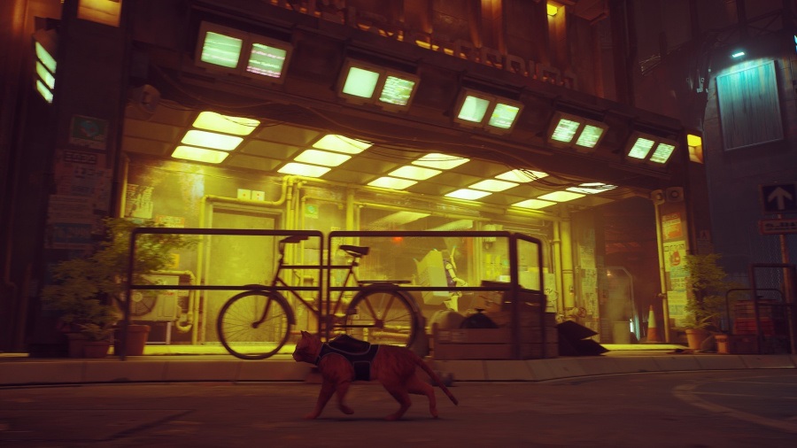 Stray Nintendo Switch játékszoftver