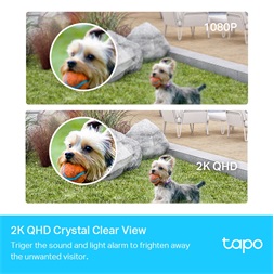 TP-Link Tapo C420S2 okos vezeték nélküli kétkamerás fehér bizonsági kamerarendszer -R