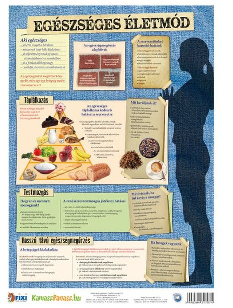 Tanulói munkalap Nemi betegségek I./Egészséges életm