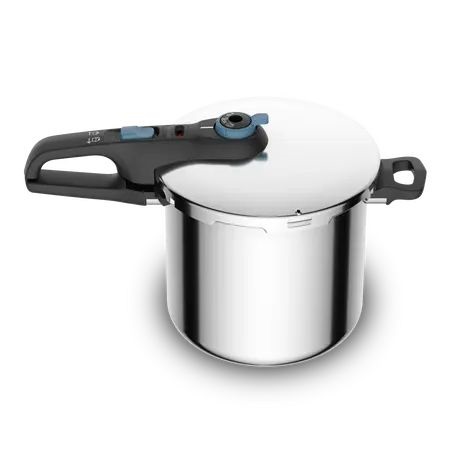 Tefal P2584401 Secure Trendy 8L kukta