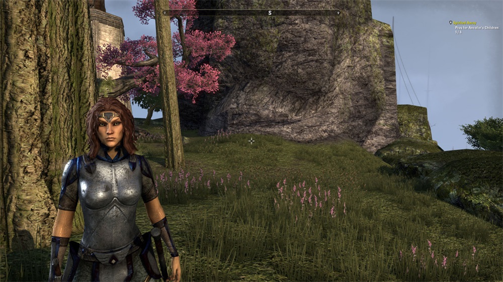 The Elder Scrolls Online: Tamriel Unlimited Xbox One játékszoftver