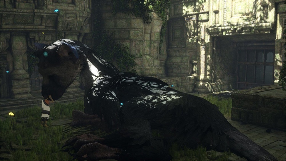 The Last Guardian PS4 játékszoftver