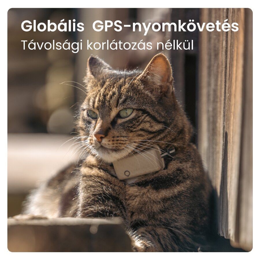 Tractive GPS CAT Mini barna macska GPS nyomkövető és tevékenységfigyelő