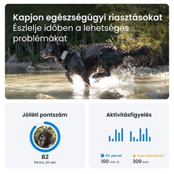 Tractive GPS DOG XL Adventure Edition kutya GPS nyomkövető és tevékenységfigyelő