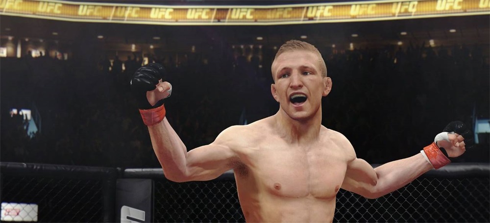 UFC /1013889/ PS4 játékszoftver
