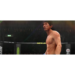 UFC /1013889/ PS4 játékszoftver