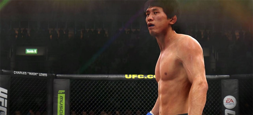 UFC /1013889/ PS4 játékszoftver