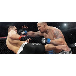 UFC /1013889/ PS4 játékszoftver