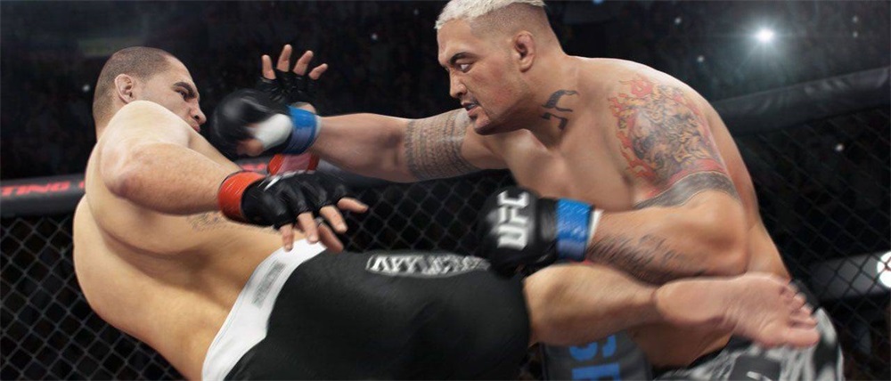 UFC /1013889/ PS4 játékszoftver