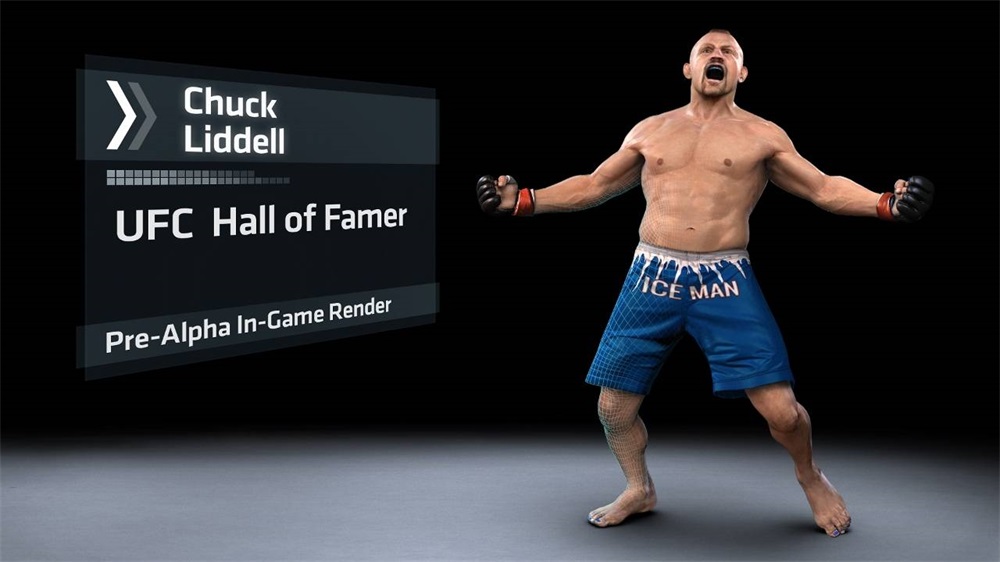 UFC /1013889/ PS4 játékszoftver
