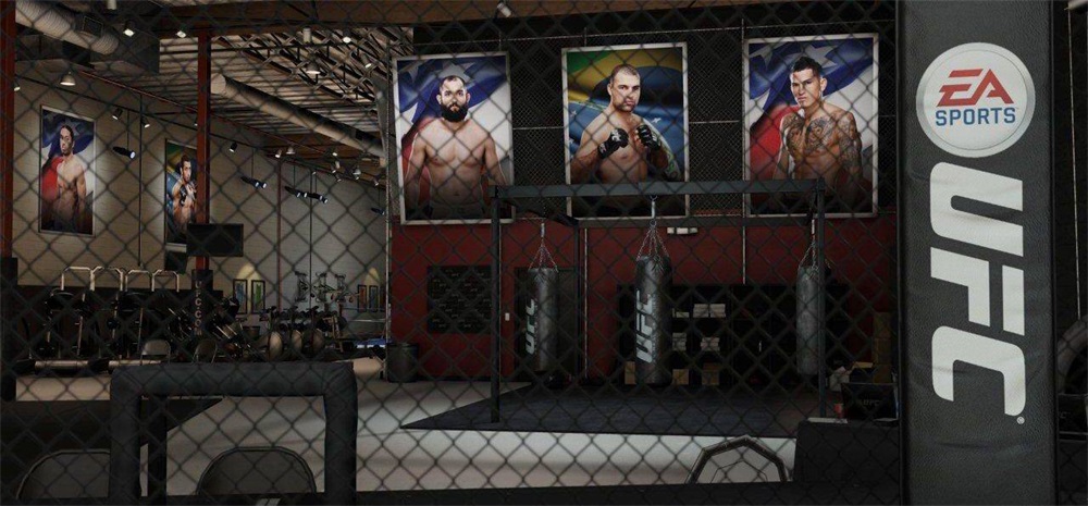 UFC /1013889/ PS4 játékszoftver