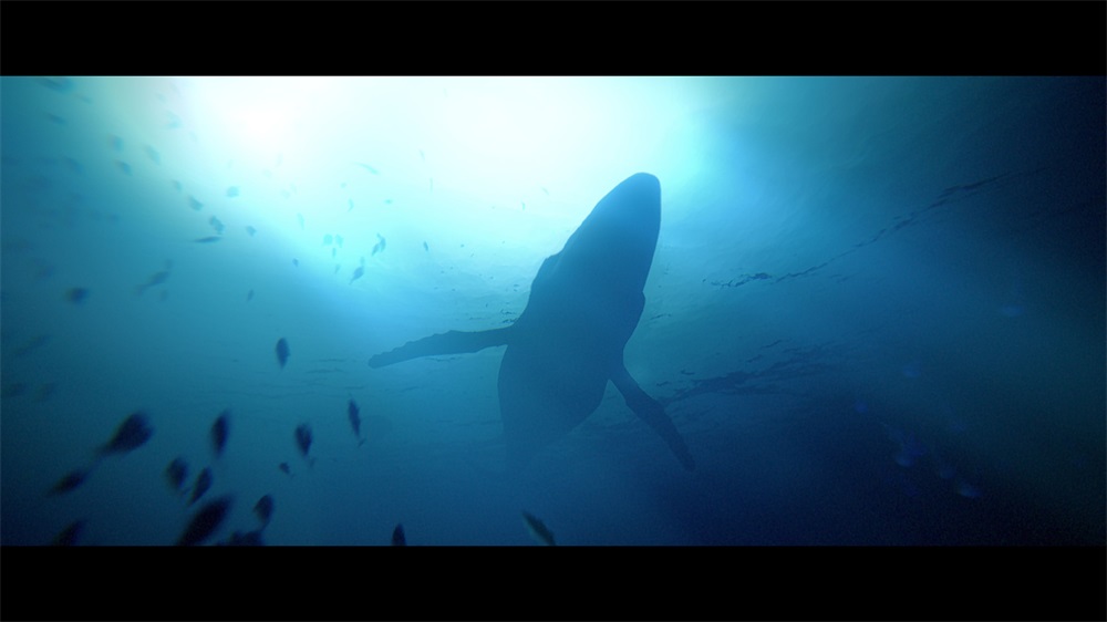 Under the Waves PS4 játékszoftver