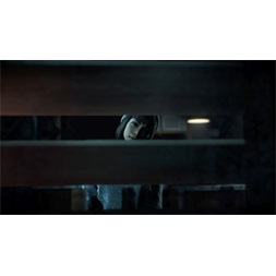 Until Dawn Sony PlayStation4 játékszoftver (Újszerű)