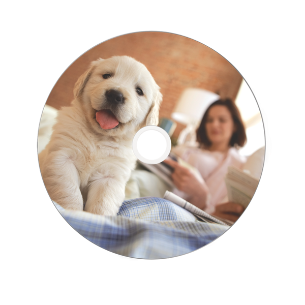 VERBATIM 43756 CD-R 700MB/52x/hő nyomtatható felület/egyszer írható CD 50db/csomag