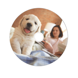 VERBATIM 43756 CD-R 700MB/52x/hő nyomtatható felület/egyszer írható CD 50db/csomag