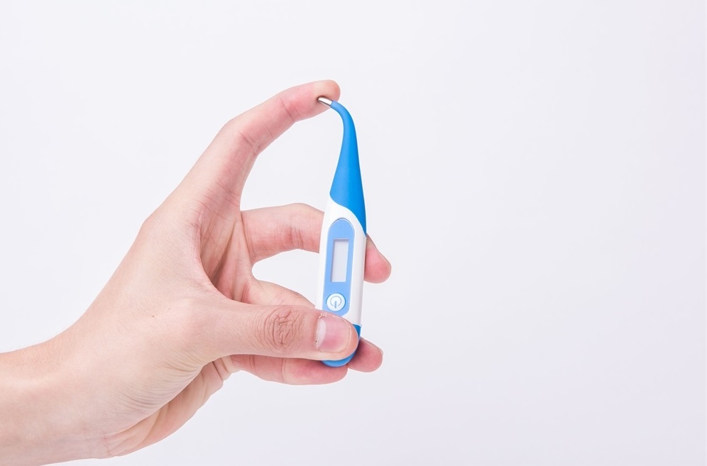 Vivamax GYVLT15S flexibilis fejű digitális lázmérő