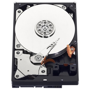 Western Digital 3,5" 1000GB belső SATAIII 5400RPM 64MB RED PLUS WD10EFRX winchester 3 év