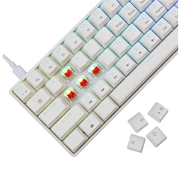 White Shark SHINOBI 2 GK-004213V2-W/R-HU HUN fehér mechanikus (red switch) gamer billentyűzet